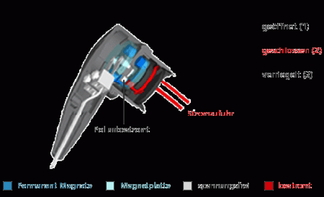 MagCode Stecker magnetisch 2polig 12V – Hoelzle